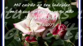 PASTOR PAULO ROBERTO  CLIP SUMIU 