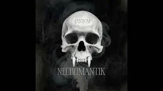 MC Fantom - Les m&eacute;dias