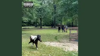 Hood Hero