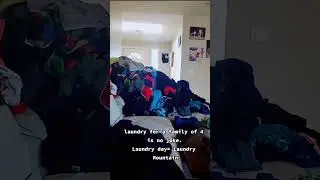 The laundry mountain: a family's laundry day challenge#laundryday #laundrystruggles