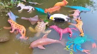 Learn Animal Names And Sounds With Beautiful Toy Collection