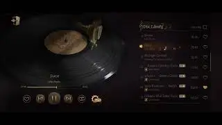 Disc Library 