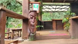 Scenic Beauty of Sleeping Giant Zipline Fiji