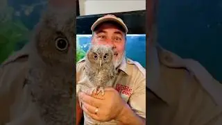 Wild Beautiful Animal Growth #funny #cute #animals