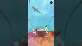 समुद्र के अंदर बना Luxury Hotel 😱 | रात को मछलियाँ बाहर तैरती हैं 🐠 #facts #shortsfeed