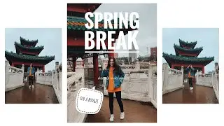 spring break on a college budget | Courtney