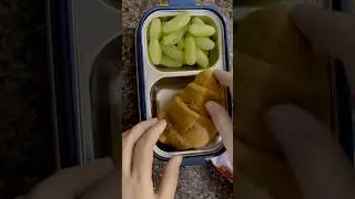 What did my kid eat for his Lunch?? Desi Lunchbox Ideas for kids school #shorts #lunchbox #tiffinbox