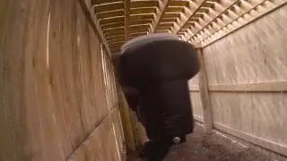 Paintball freak out