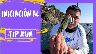 Iniciaci&oacute;n al Tip Run Eging