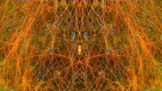 Grapevine (David Duchow)
