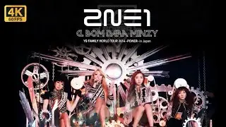 【4K 60fps】YG FAMILY WORLD TOUR 2014 -POWER- IN JAPAN [2NE1 CUT]