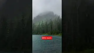 Кайф для ушей ребята поддержите лайками #like #reels #relaxing #live #ashley #music #relaxmusic #top