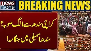 Karachi  separate province ? PPP and MQM clash in Sindh Assembly! | Breaking News | News One
