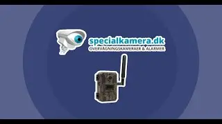 Specialkamera.dk &ndash; Smart vildtkamera med solcellepanel