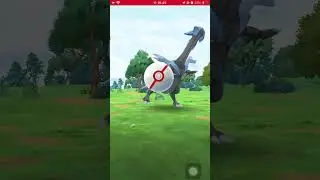 raid day, white kyurem