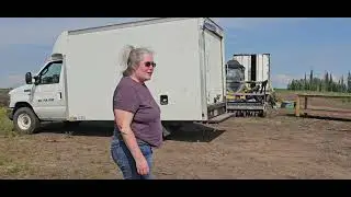 Sweet Corn Sorting and Delivery for fall 2025