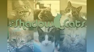 The Story of Shadow Cats