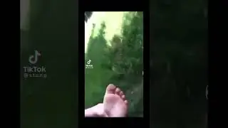 I&rsquo;ve Been stung by a Wasp #viral #edit #best #meme #memes