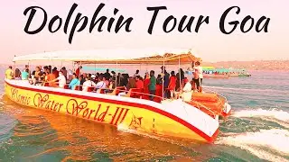 Dolphin Tour Goa Panaji | Dolphin Boat in Miramar Beach Goa Vlog | Dolphin Show Miramar Beach Goa