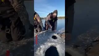 #shorts Doubled up on lake trout! Catch and release only! Let &lsquo;em go, let &lsquo;em grow! #icefishing