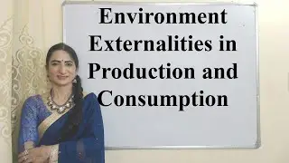 Environment Externalities in Production and Consumption