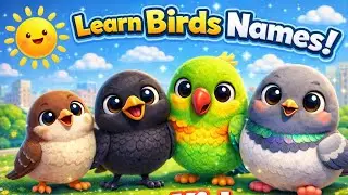&ldquo;Learn Birds Names for Kids | 3D Fun Preschool Animation | Educational Video
