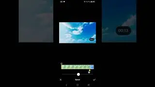 how to download VSCO free in one click Copifam