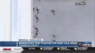 West Nile Virus detected in Comanche County, tips to avoid mosquito bites