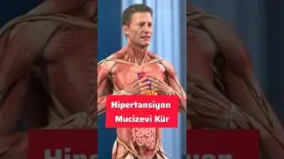 Hipertansiyon (Y&uuml;ksek Tansiyon) İ&ccedil;in Mucizevi K&uuml;r #bitkiseltedavi #sağlık #hipertansiyon