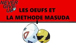 Les oeufs et la m&eacute;thode masuda - Cours old gen #2