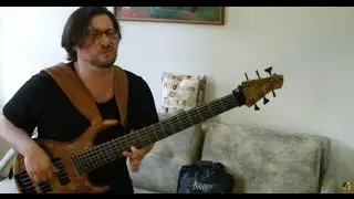 Acoustic Image Amps and MTD USA Bass artist Eddy Khaimovich discusses and demos  AI Flex System