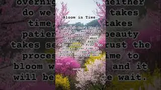 Bloom in Time #quotes #healingjourney #shorts #bepatient #hopefulhearts