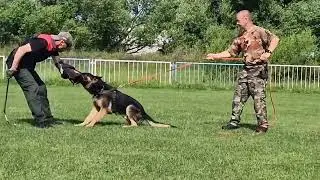 Rex - protection work