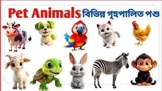 Pet Animals name | গৃহপালিত প্রানীর নাম |Domestic Animals | বাংলা ও ইংরেজিতে | #kidswardi