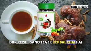 Benefits Of Reishi Gano Tea | DXN रेशी गानो चाय के लाभ ☕