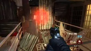 Mob Of The Dead GamePlay (AfterLife, Box, Dogs, Ak47s)