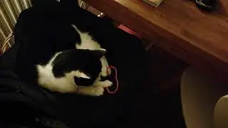 string share