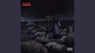 IDDSDGO