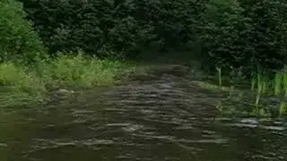 Les Renegade pit pond
