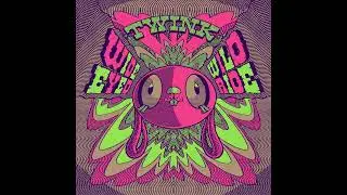Twink the Toy Piano Band - Wide Eyed Wild Ride