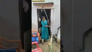 Cow Pongal vlog❤️ #family vlog #minivlog(Jan17)💯 #shorts #trending #viral #feed daily routine