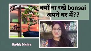 Vastu shastra | why we should not keep #bonsai at home | रुक सकती है ग्रोथ |Rakhiemishra #viralvideo