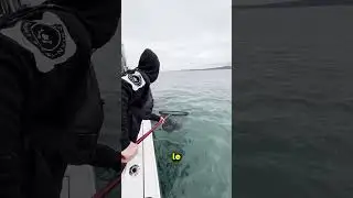 Ce gar&ccedil;on a attrap&eacute; des poissons en pleine mer 😲