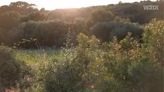 What2doin &middot; Barranc d'en Fideu &middot; Menorca Secrets