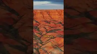 Canyon dwellers - Life in the depths #animals #animalfacts #canyon