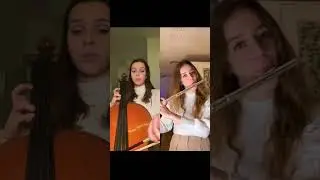 Snowman - Sia (flute cello) ft. Claracellist
