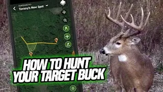 How To Locate & Hunt Your Target Buck!