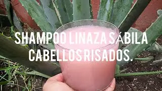 AHAMPOO SÁBILA LINAZA. PARA CABELLOS RIZADOS.