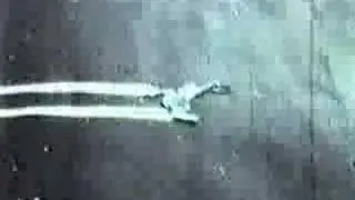 STAR TREK The Klingon Incident (1973)
