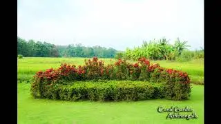 Evening glow of the nature @ Canal Garden Aththanagalla